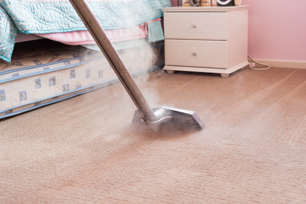 Water Extraction Carpet Cleaning Aurora, CO