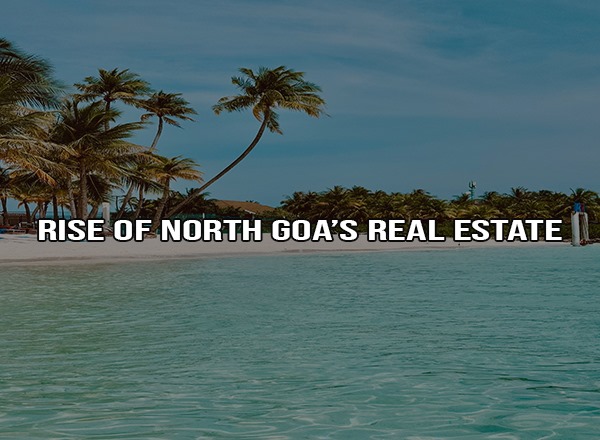 WhatsApp Image 2025-03-30 at 4.23.09 PM