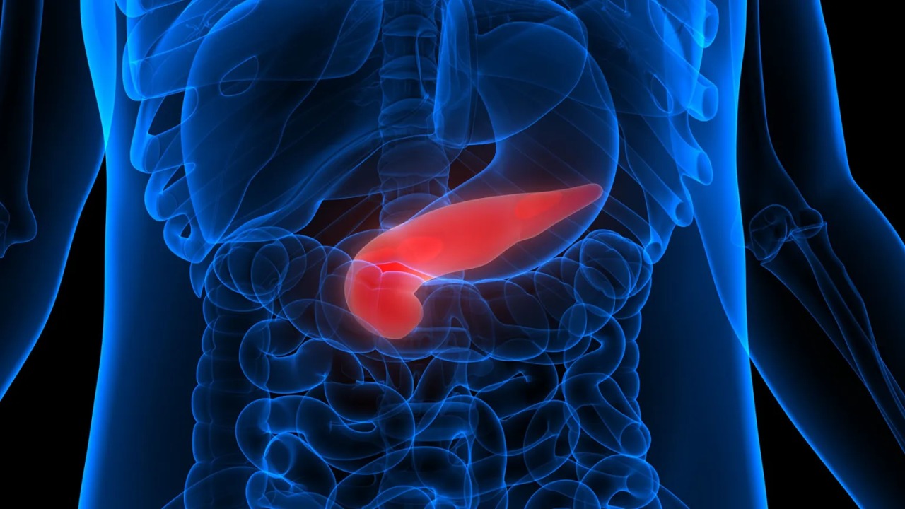 Cancer Immunotherapy