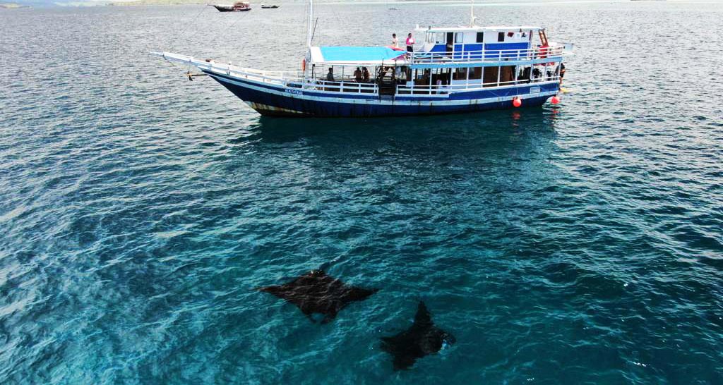 Komodo diving liveaboard1