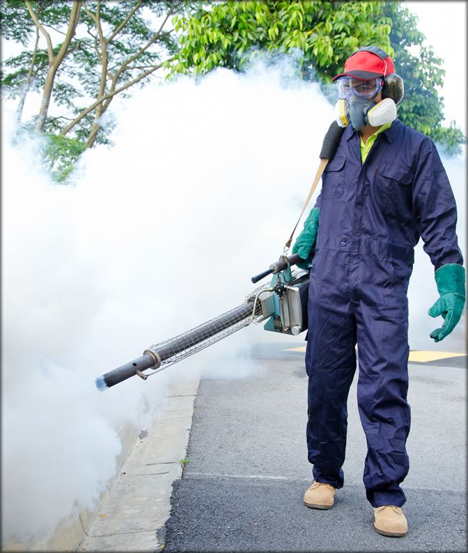 Professional Fogging for Mosquito Control | Safe Urban Pest Management