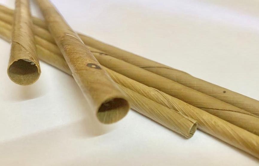 Dry Coconut Leaves Based