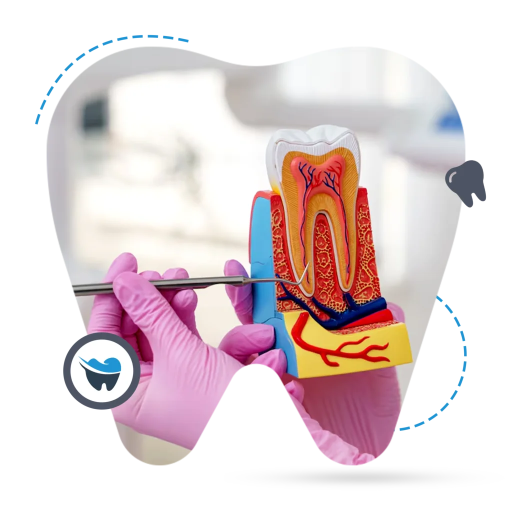 Root-Canal-Therapy-For-Happy-Healthy-Teeth-1024x1024