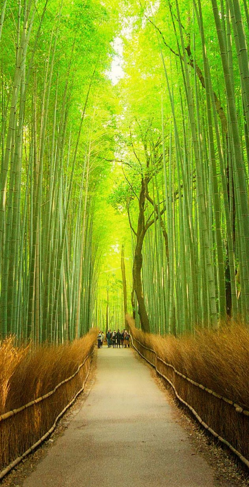 Screenshot 2025-05-09 064433