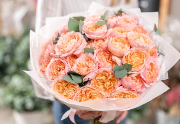 Screenshot 2025-08-18 155450