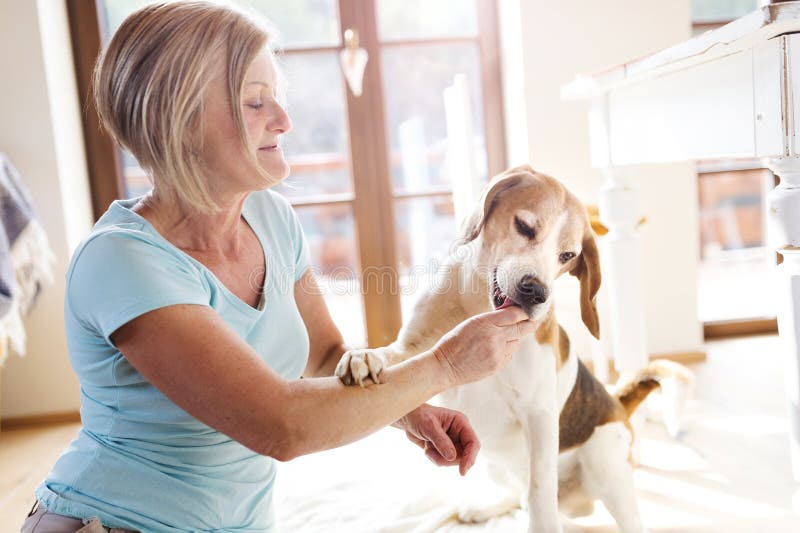 donna-maggiore-con-il-suo-cane-60151419