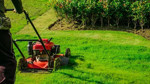 custom lawn maintenance Alberta