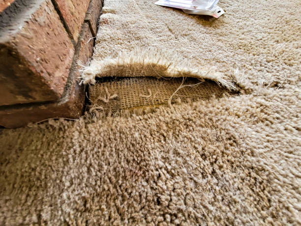 Damage Carpet Repairs in Vancouver