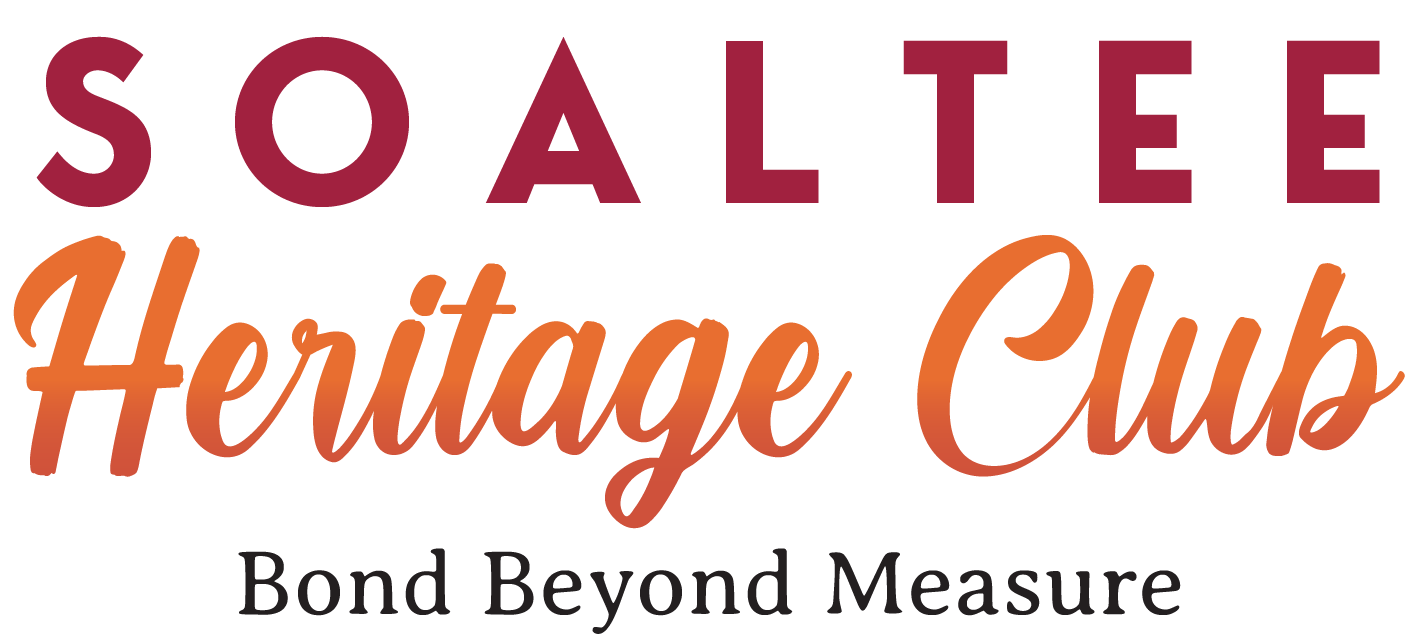 logo_soaltee.19e51895