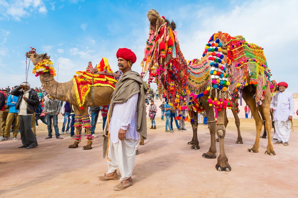 rajasthan tour