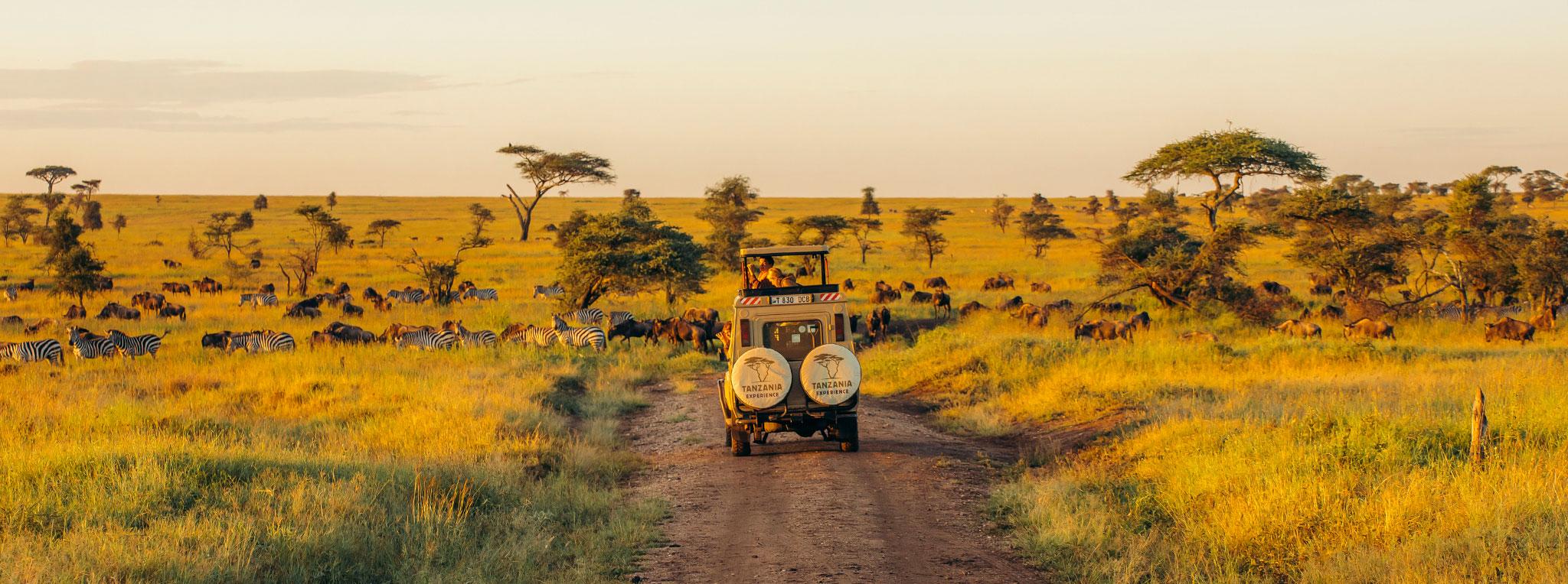serengeti-wildebeest-migration-safari-