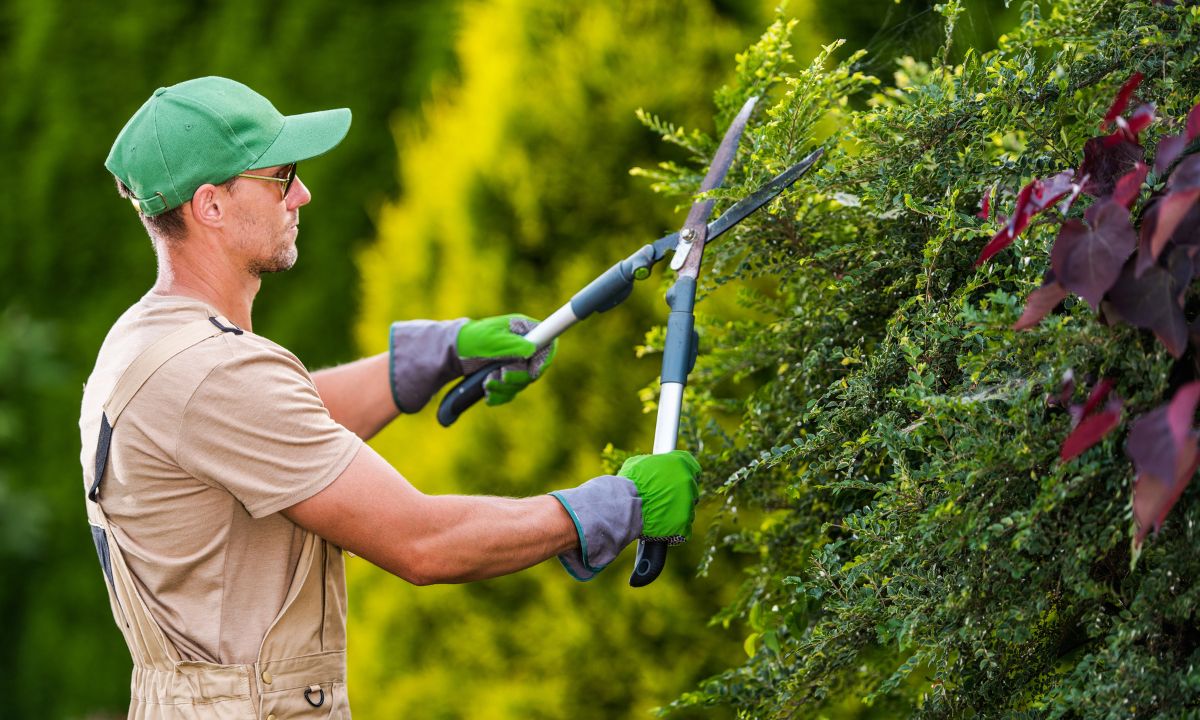 Featured Images (19)