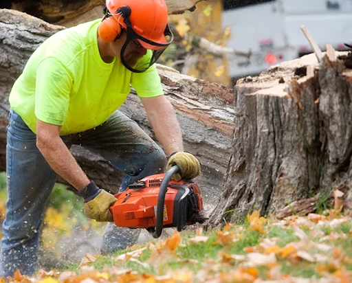 Local Stump Grinding