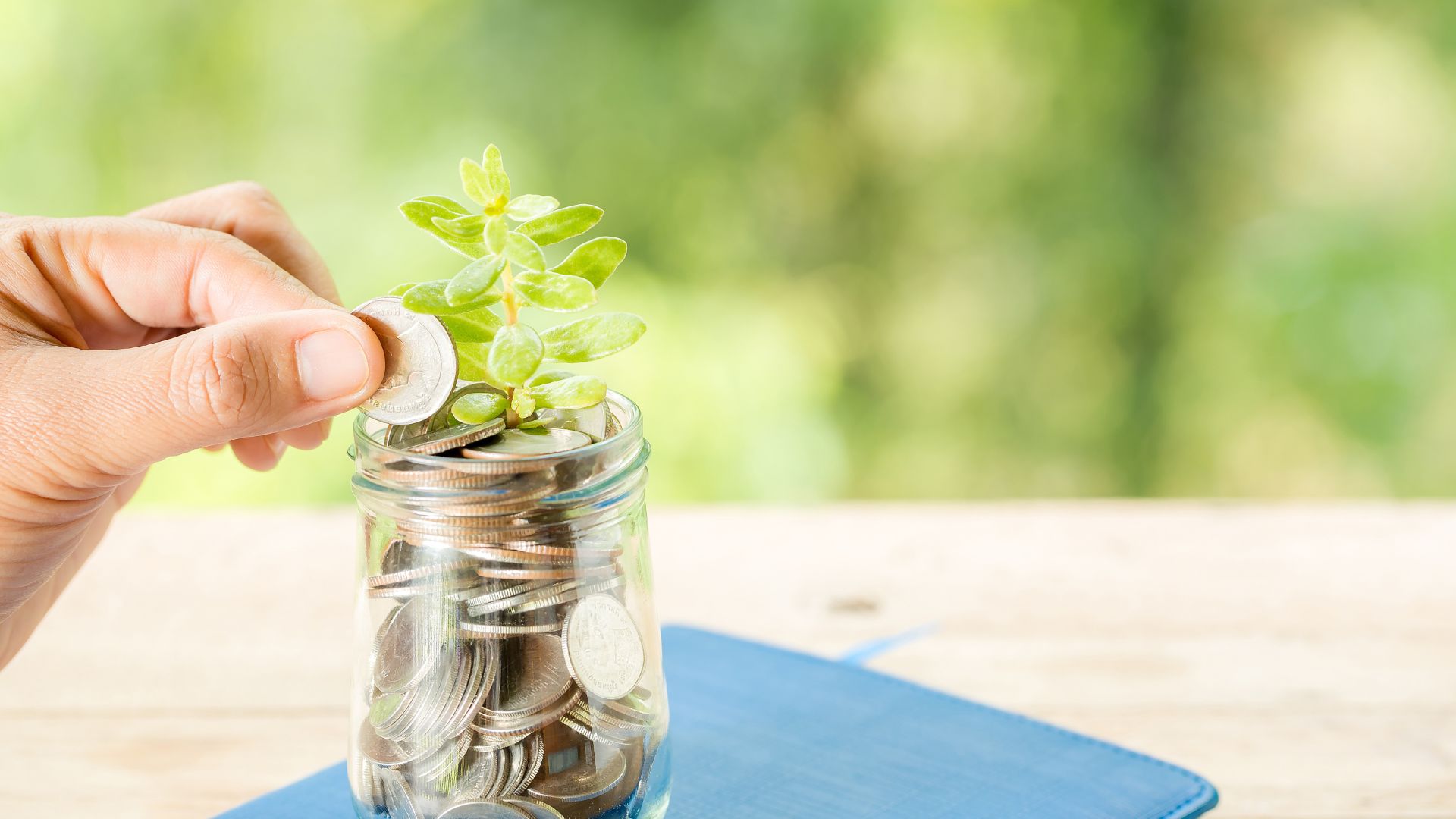 _Mutual Fund Software for Distributors