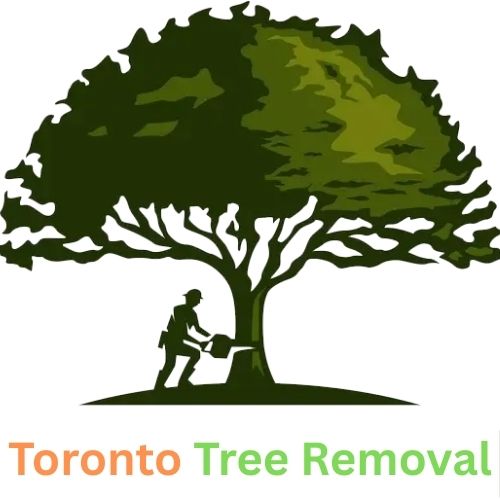 Toronto Tree Removal