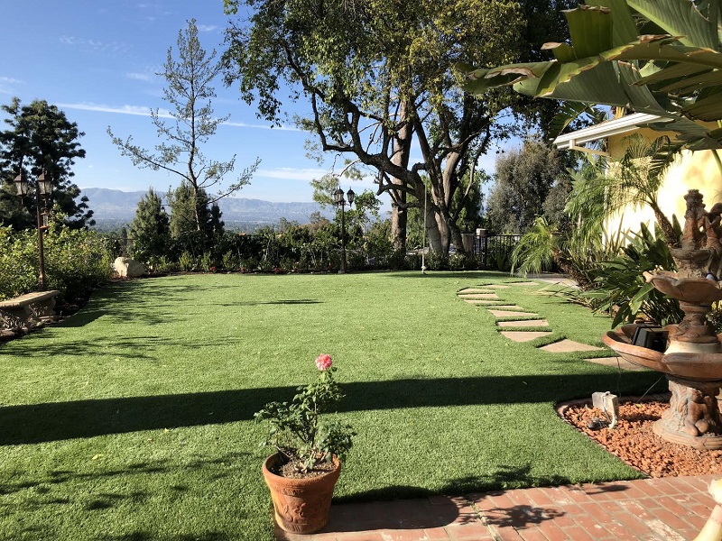 Verdigrass