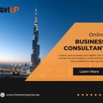 online bussiness consultant