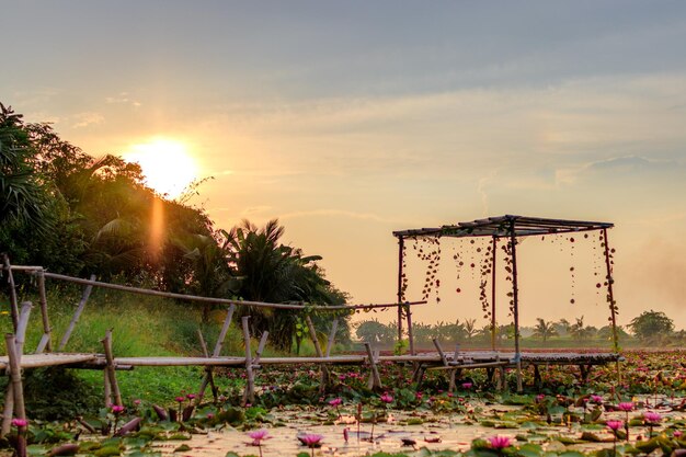ooty wedding venues - destination weddings india