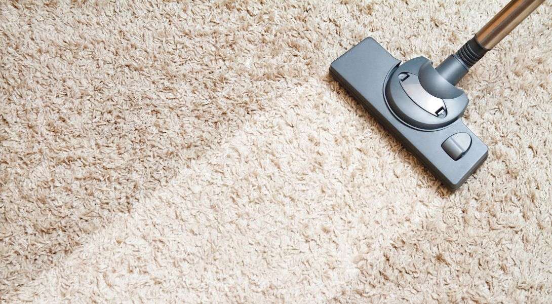 1 VacGeneral Carpet Cleaning Columbia, SCuumGeneral Carpet Cleaning Columbia, SC on white carpet