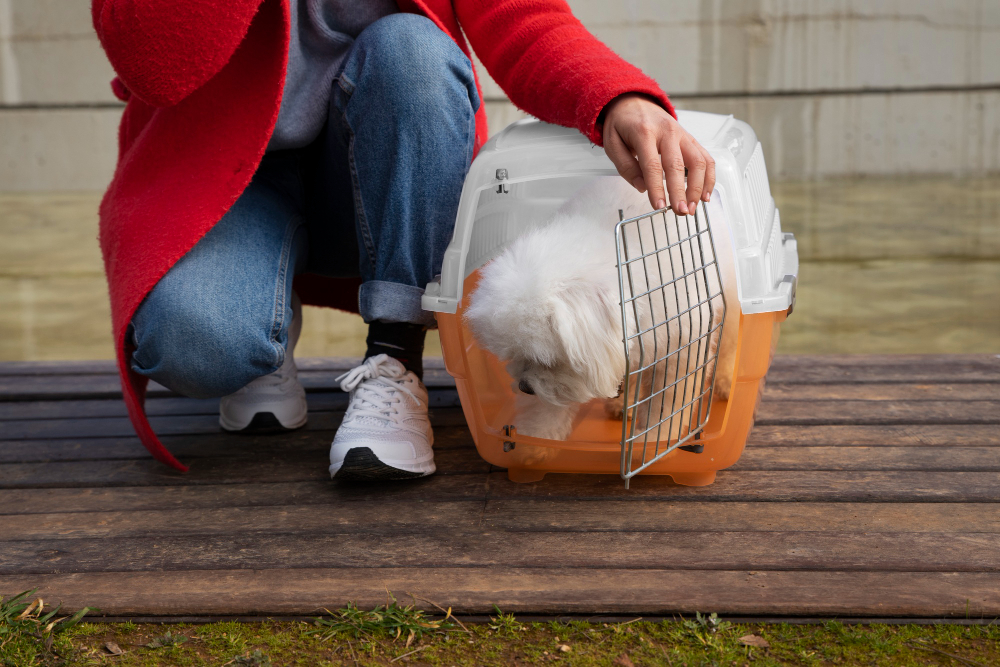 collapsible dog crate