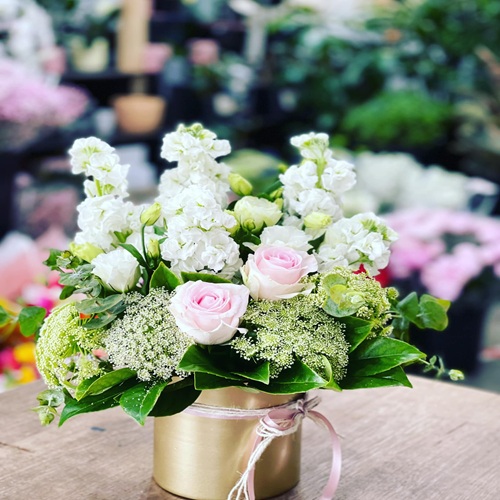 481065695_1364828221595967_7234296889229905892_n