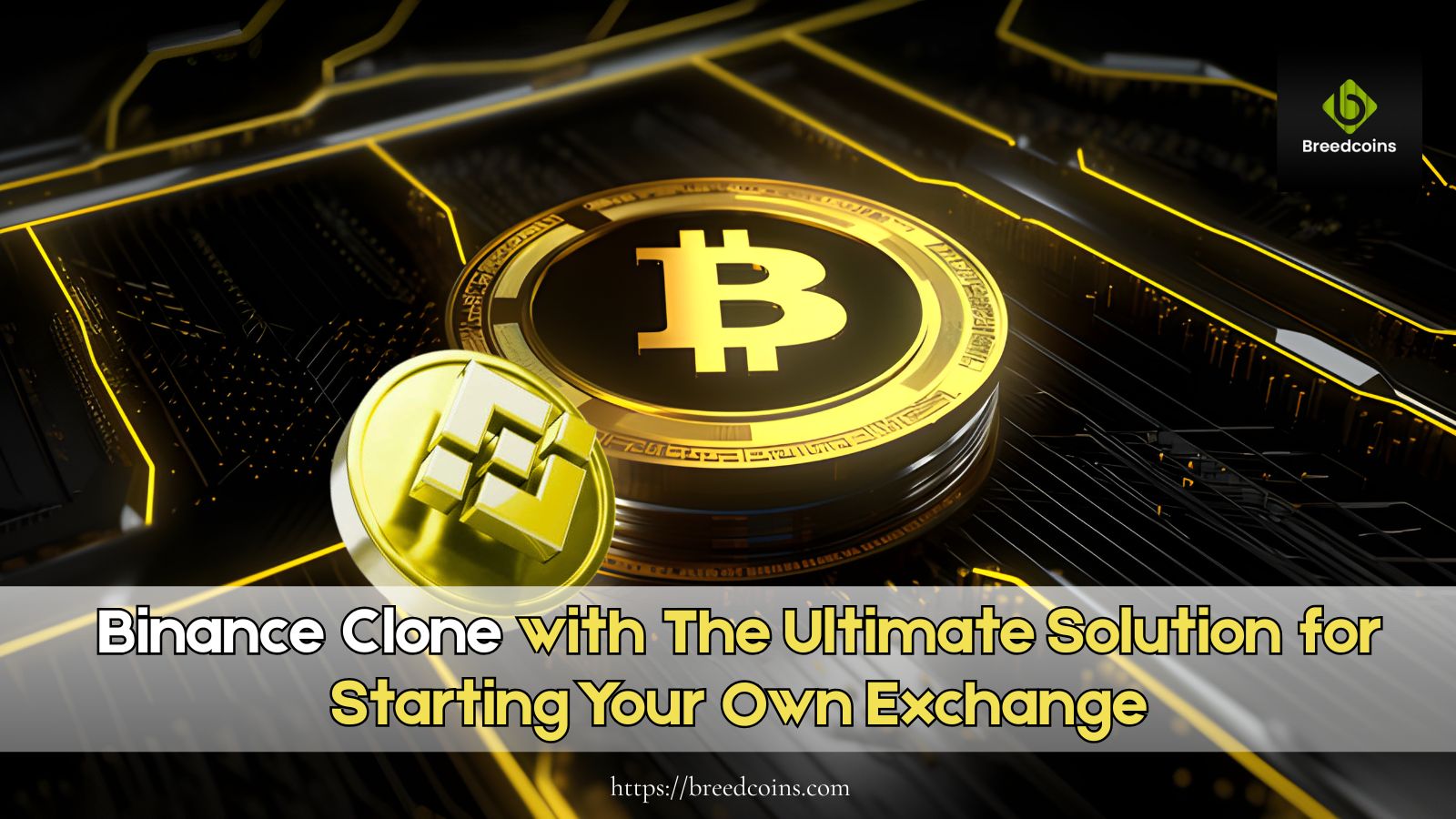 Binance Clone with the ultimate solution for starting your own exchange