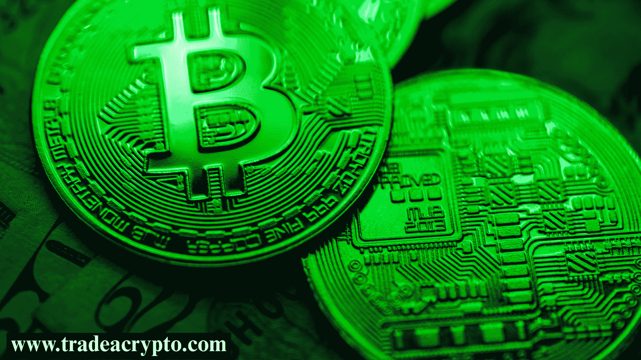 Common Scams in Crypto  (2)
