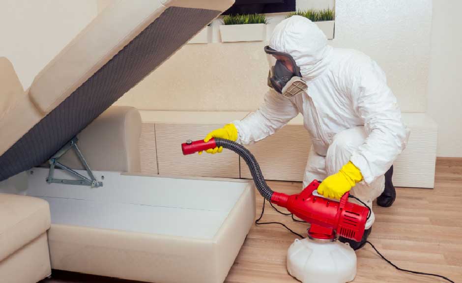 pest and rat control