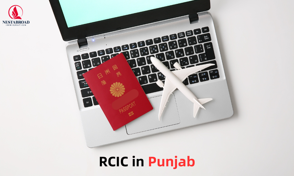 RCIC in Punjab
