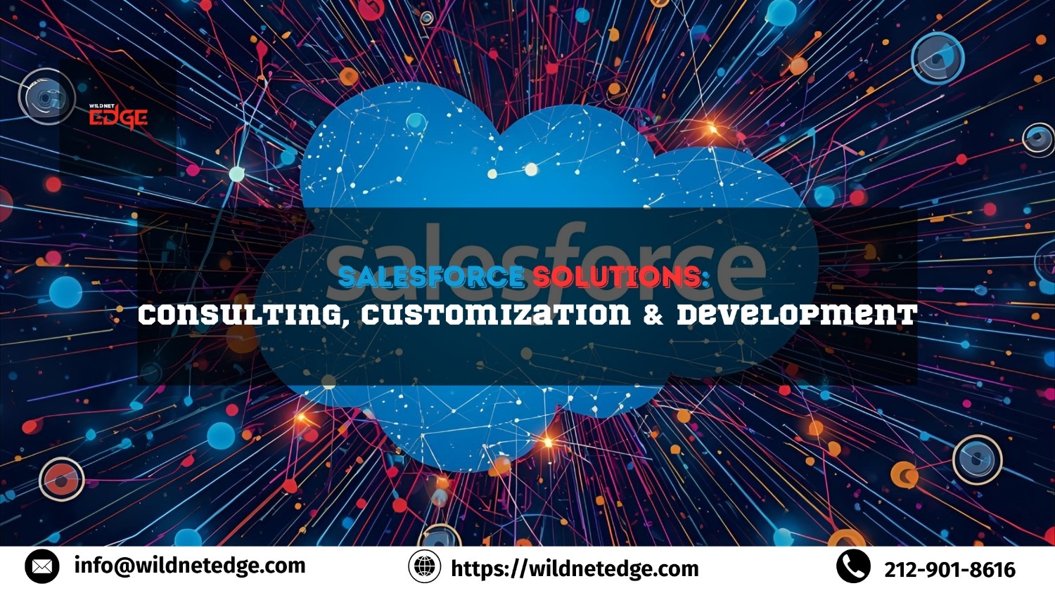 SalesforceSolutionsConsultingCustomizationDevelopmen (1)