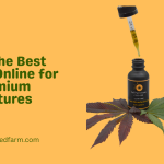 Shop the Best CBD Oil Online for Premium Tinctures