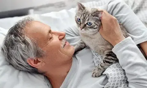 The-Joys-of-Owning-a-Cat-By-Animalspethealth