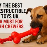 Why the Best Indestructible Dog Toys UK Are a Must for Tough Chewers - Petbuds