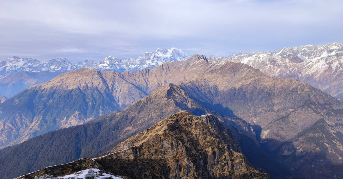 pexels-photo-19877300