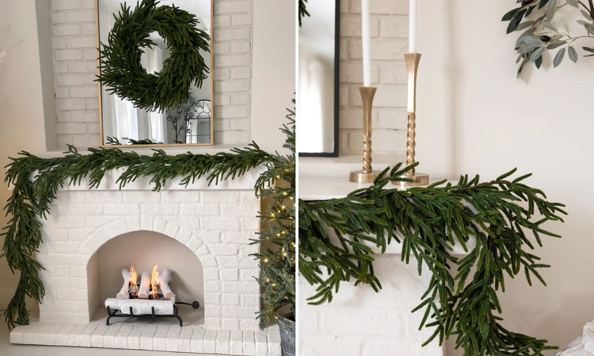 preserved botanical stems