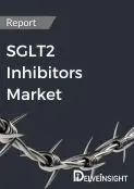 sglt2-inhibitors-market-converted-from-webp