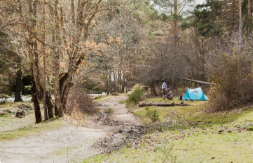 u10184-Screenshot-2025-11-19-231815