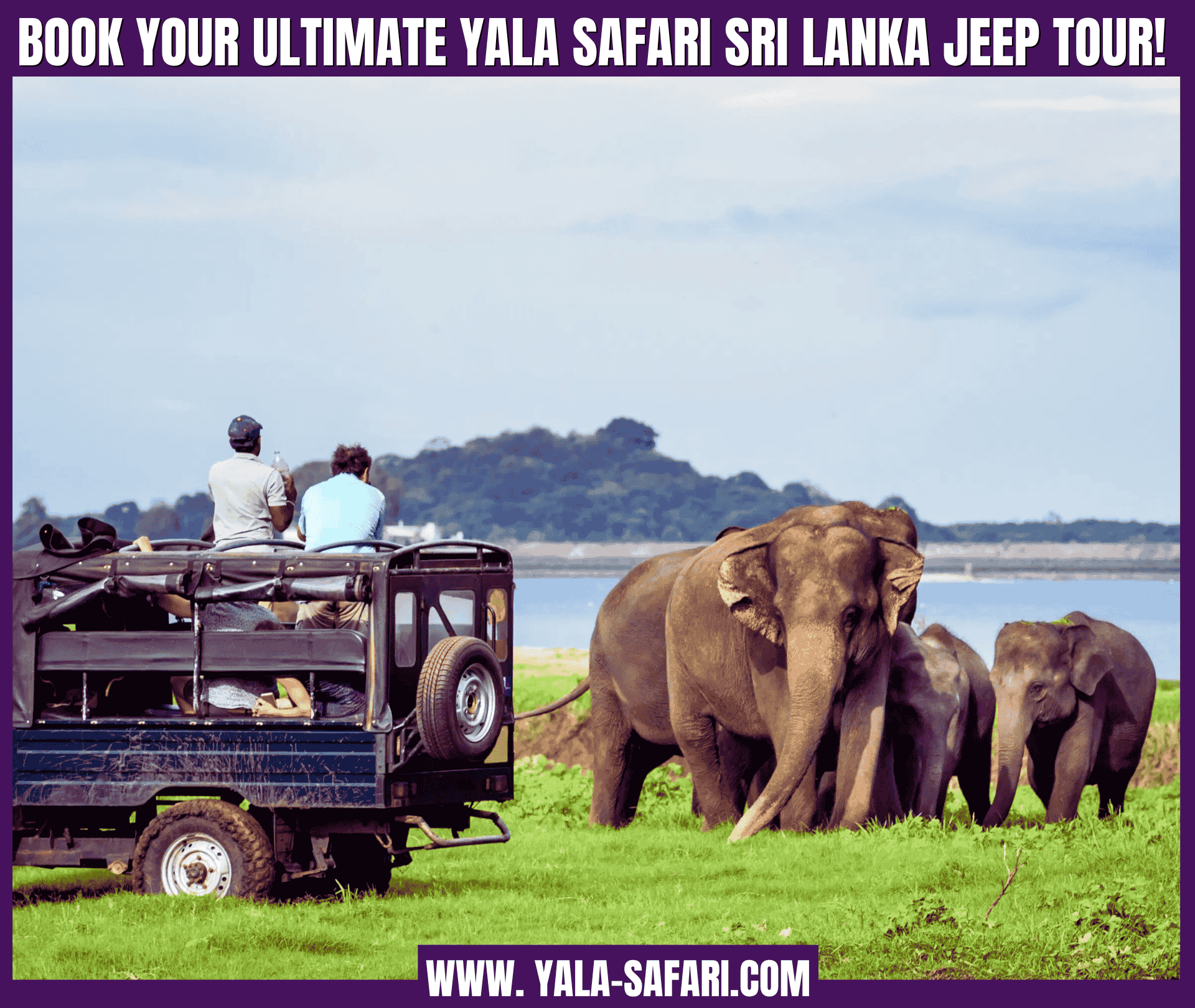 u1645-Book-your-ultimate-Yala-Safari-Sri-Lanka-Jeep-Tour