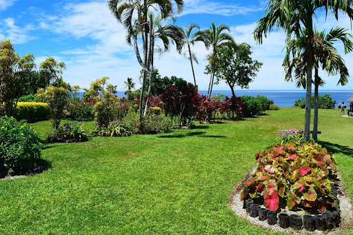 u6109-unnamed-2025-11-24T204701.648