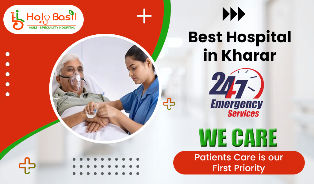 u11273-BEST-HOSPITAL-IN-KHARAR-HOLYBASIL-3