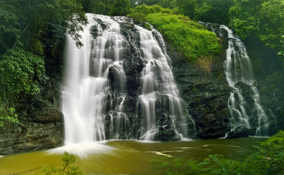 u11295-coorg