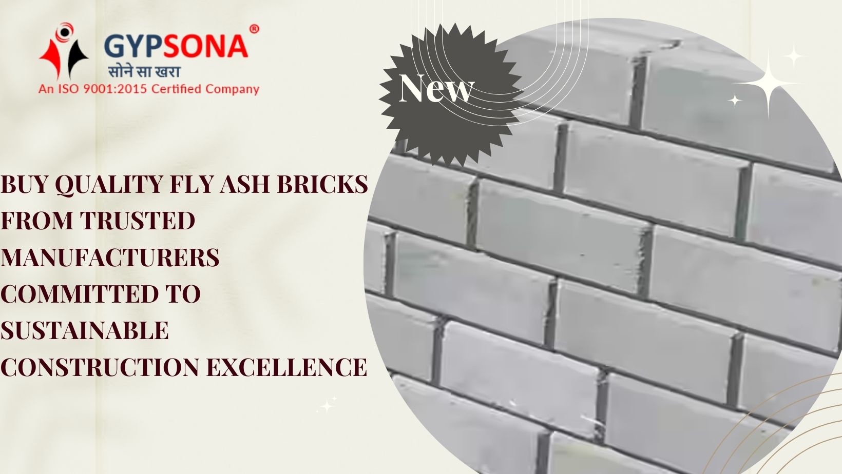 u11422-Fly-Ash-Bricks